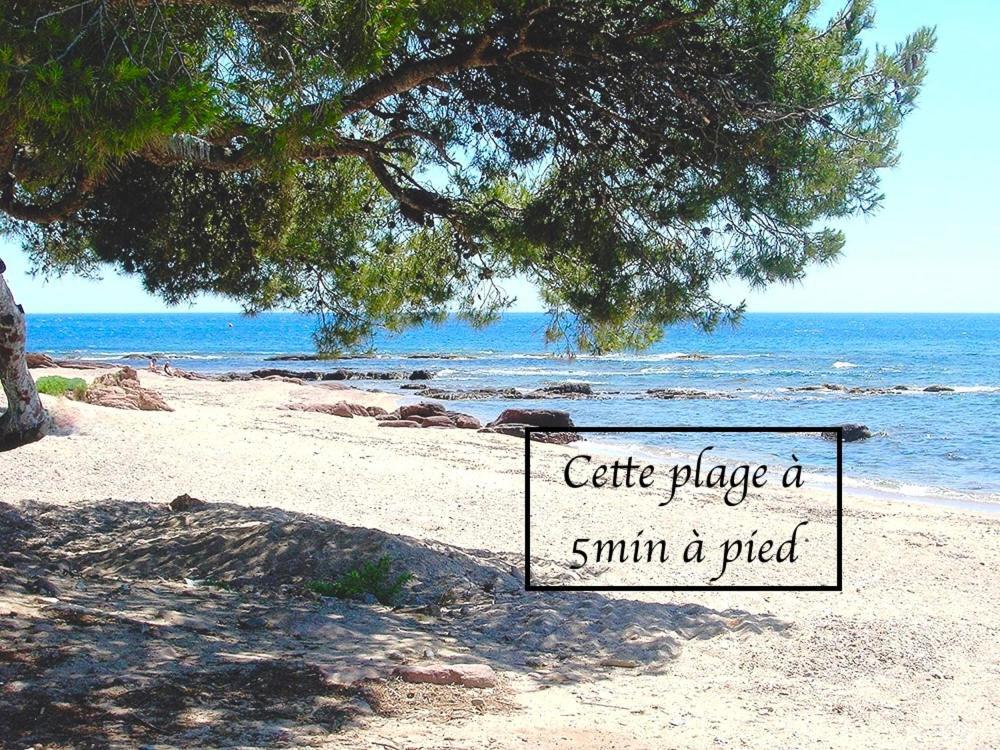 Appartement Plage Et Nature Сен-Рафаэль Экстерьер фото